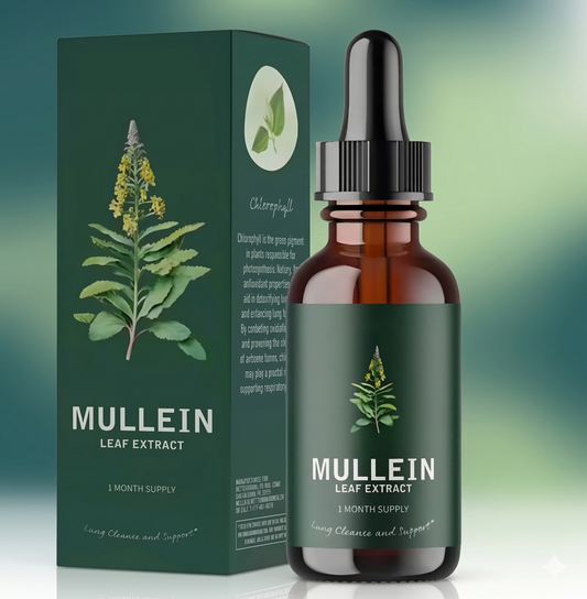 Betterlung Gotas de Extracto de Mullein Gordolobo con Clorofila | Suplemento Herbal Botánico de Uso Tradicional 30ml