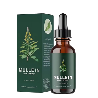 Betterlung Gotas de Extracto de Mullein Gordolobo con Clorofila | Suplemento Herbal Botánico de Uso Tradicional 30ml