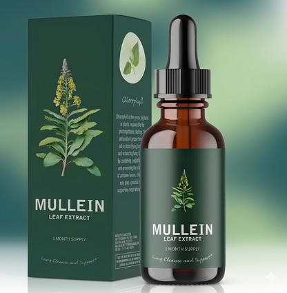 Betterlung Gotas de Extracto de Mullein Gordolobo con Clorofila | Suplemento Herbal Botánico de Uso Tradicional 30ml